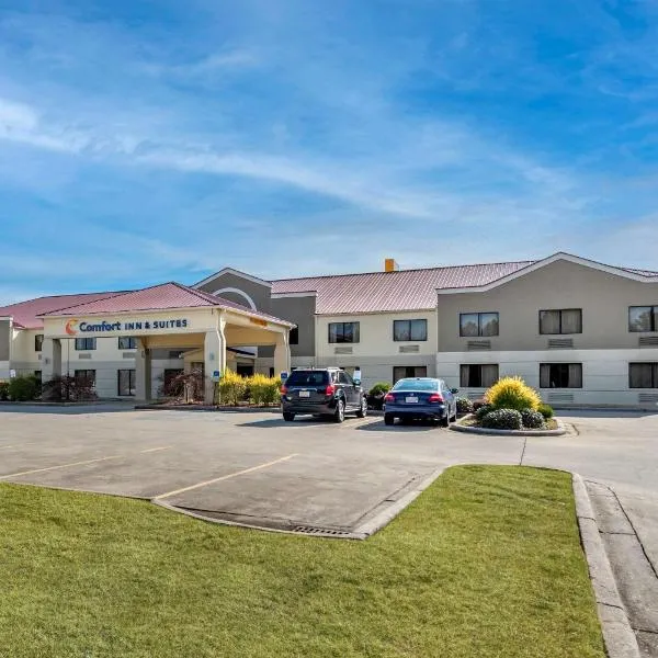 Comfort Inn & Suites Leeds I-20、Leedsのホテル