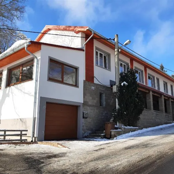 Ubytování U Janičky, hotel in Český Jiřetín