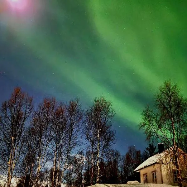 Cabin magic on Senja, atmosphere like a fairytale, hotell i Botnhamn