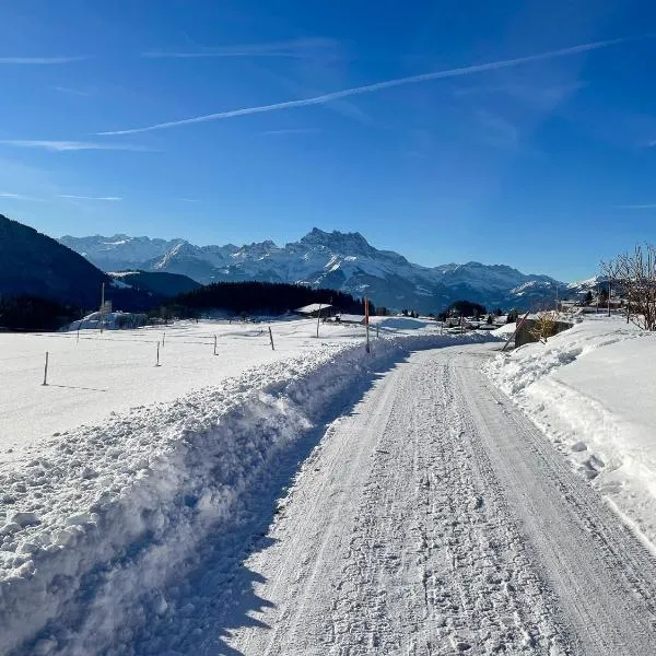 Bed & Breakfast l'Epicéa, ξενοδοχείο σε Leysin