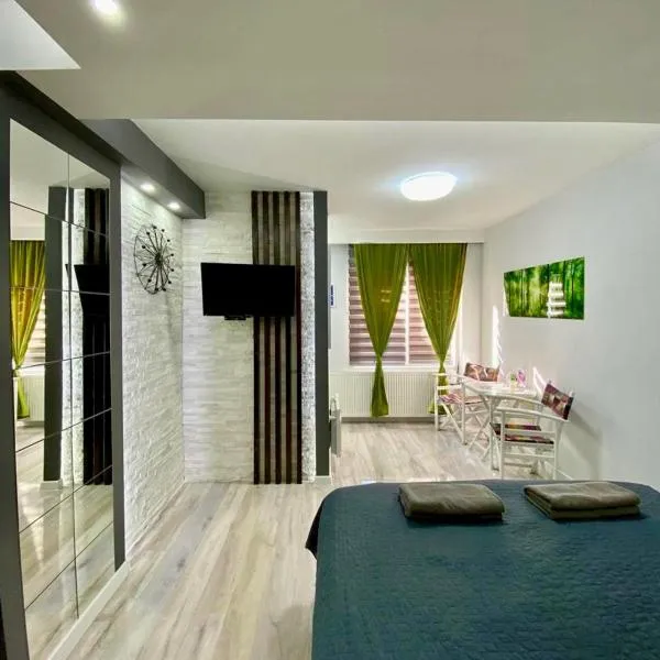 STUDIO Vladana, hotel in Kruševac