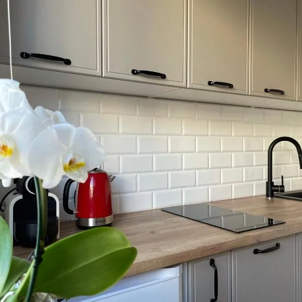 Apartament -Dwudziestka, hotel v destinaci Sandoměř