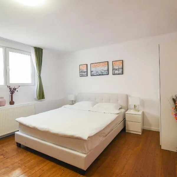 Transylvania Guest House, hotel v destinaci Brašov