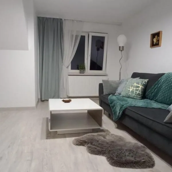 CITY VIEW Kanonierska - przy parku blisko centrum, hotel em Świdnica