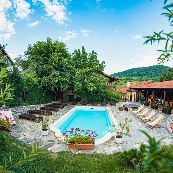 Casa Dives - Transylvania, hotel i Pianu de Sus