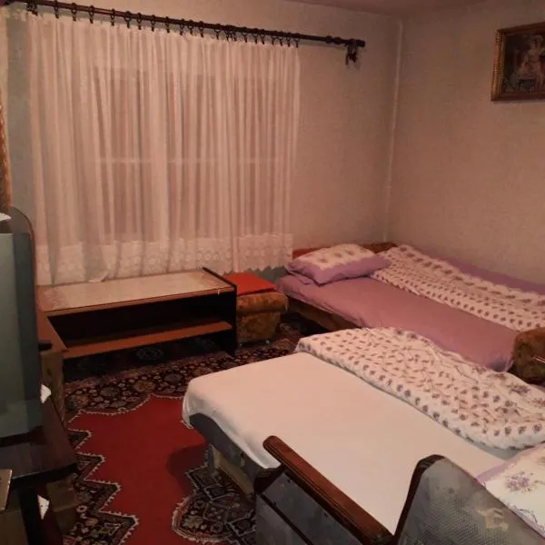 Viesnīca Stan na dan pilsētā Sjenica
