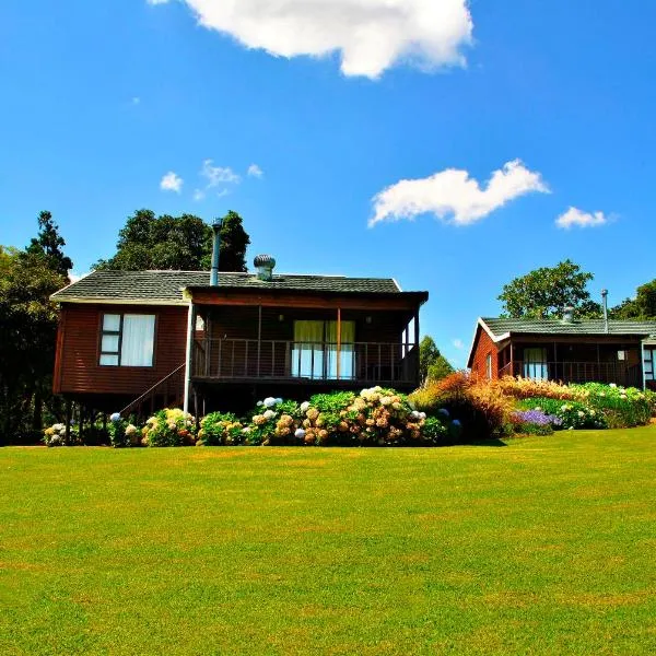 Forest View Cabins，位于察嫩的酒店