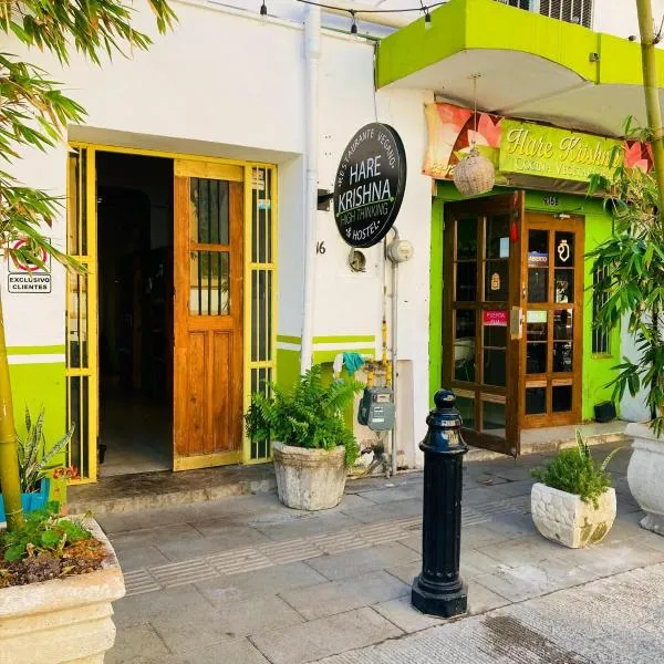 Barrio Antiguo Hostel HK, hotel in Monterrey