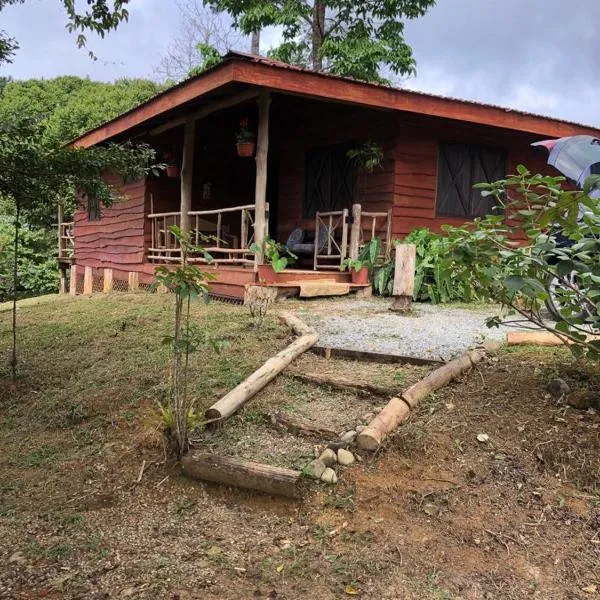 Log Cabin in Tinamaste Valley, Habacuc Woods, BARÚ, hotel in Caña Blanca