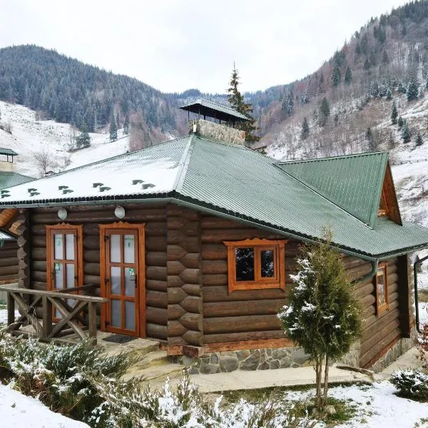 Camp Bilyi Slon, hotel in Dzembronia