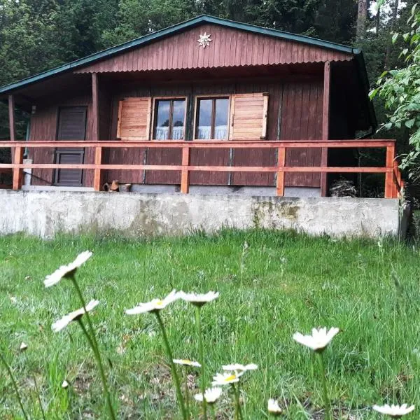 Chata - Na samotě u lesa, hotel di Levín
