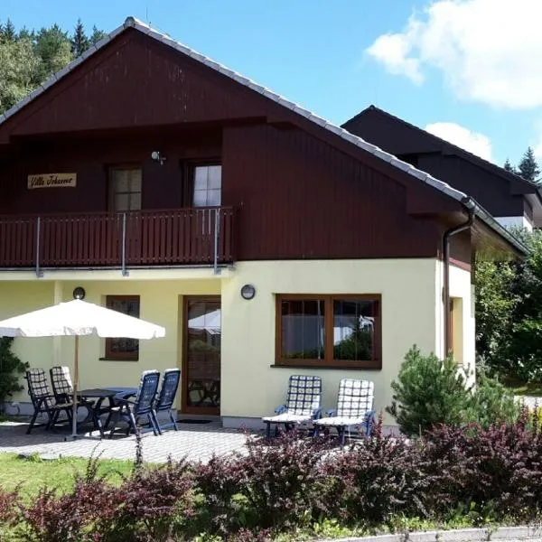 beautiful villa at the Lipno Lake with ski pistes، فندق في Kramolín