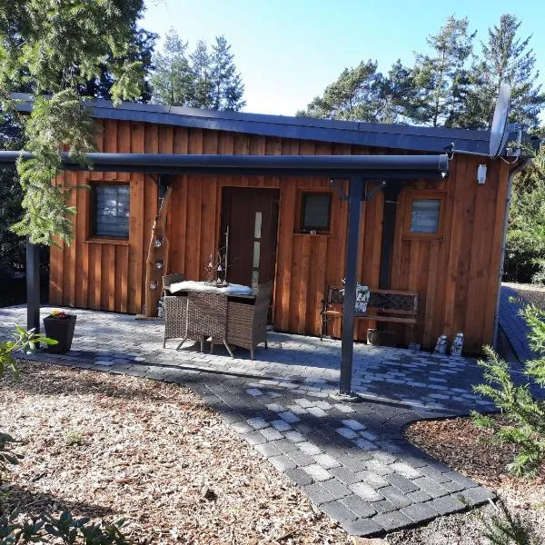 Ferienhaus Leon mit Sauna, hotel in Rehburg-Loccum