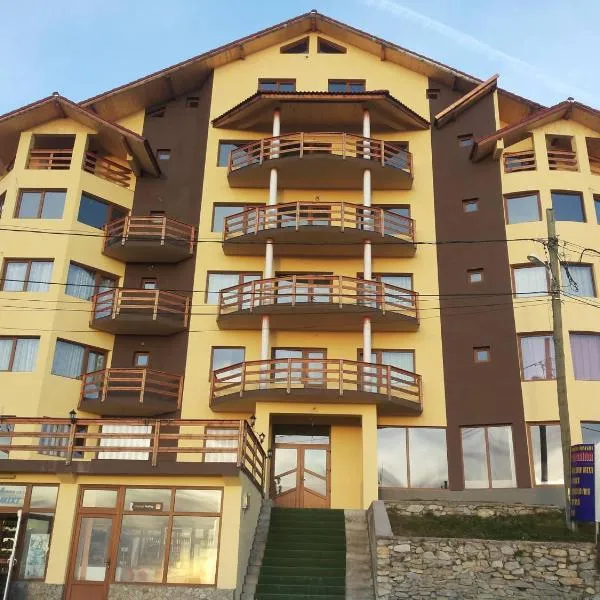 HOTEL CARMINA, hotel in Obarsia-Lotrului