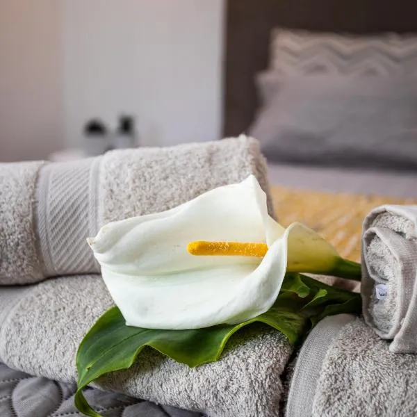 Carvão PDL Inn, viešbutis mieste Ponta Delgada