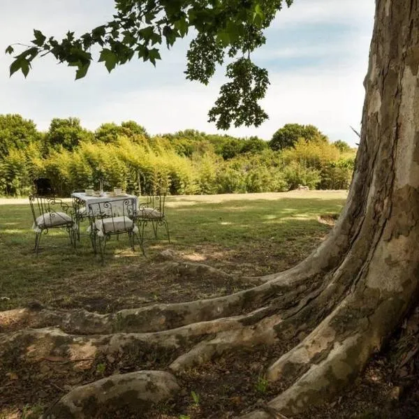 La Casa del Bosque Carmelo, hotell sihtkohas Carmelo