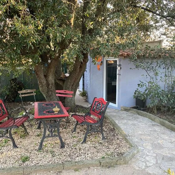 STUDIO Havre de paix au pont du gard Piscine et Jacuzzi chez Valerie Payre, hôtel à Vers-Pont-du-Gard