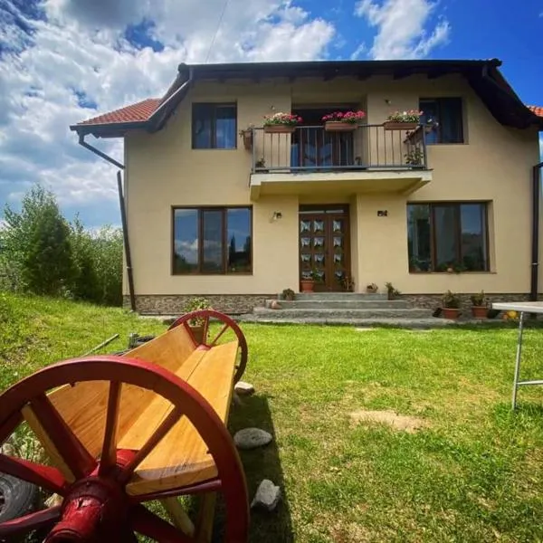 Casa Flavia, hotel em Poiana Mărului