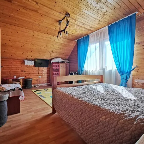 Jugul Țăranului Agropensiune Polovragi, Gorj, hotel in Polovragi