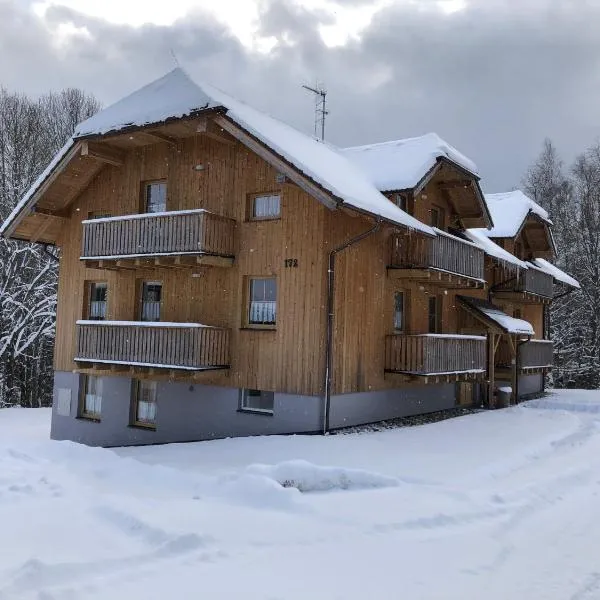Horský apartmán Prášily, hotel din Prášily