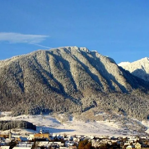 Panoramic Residence, hotel v destinaci Zărneşti