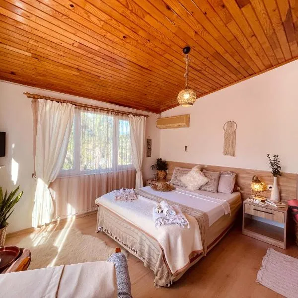 Olymposoase pansiyon, hotel di Cirali