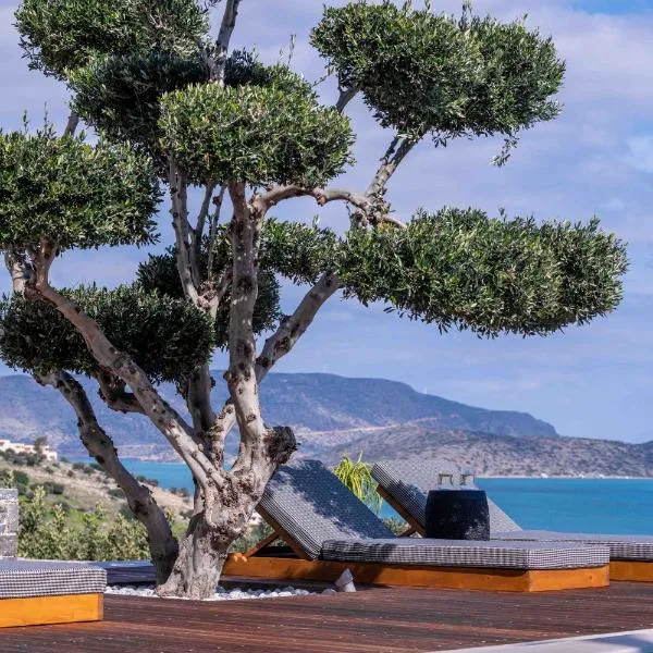 The Olive Tree Villa Elounda, hotel v destinaci Elounda