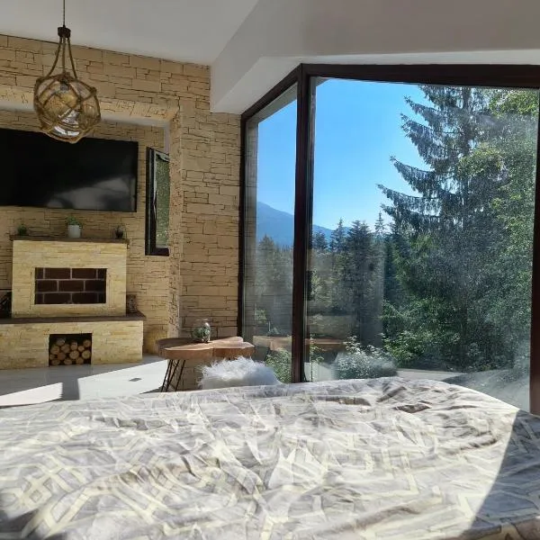 Penthouse luxury Predeal View、プレデアルのホテル