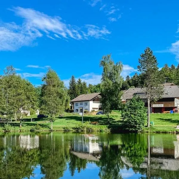 Ferienwohnungen Am Skilift, hotel in Herrischried