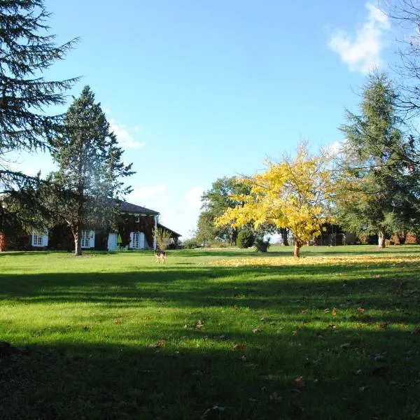 Le Château de Roquebère, hotel in Gazaupouy