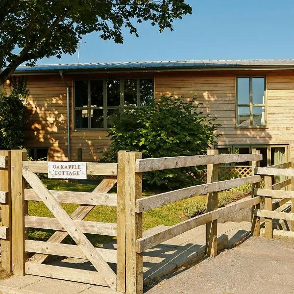 Oak Apple, hotel in Newton Abbot