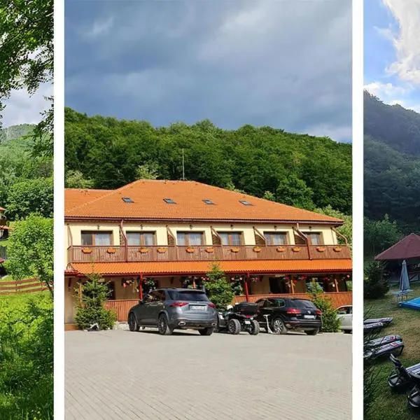 Pensiunea Castania - Pensiune cu piscina la munte, hotel em Polovragi