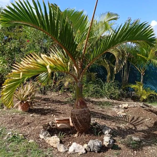 2 L'Oranger, résidence de départ de vos escapades, hotel in Morne-à-lʼEau