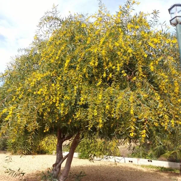 Andalusian farmhouse with barbecue, pool and wifi, hotel v Malaze