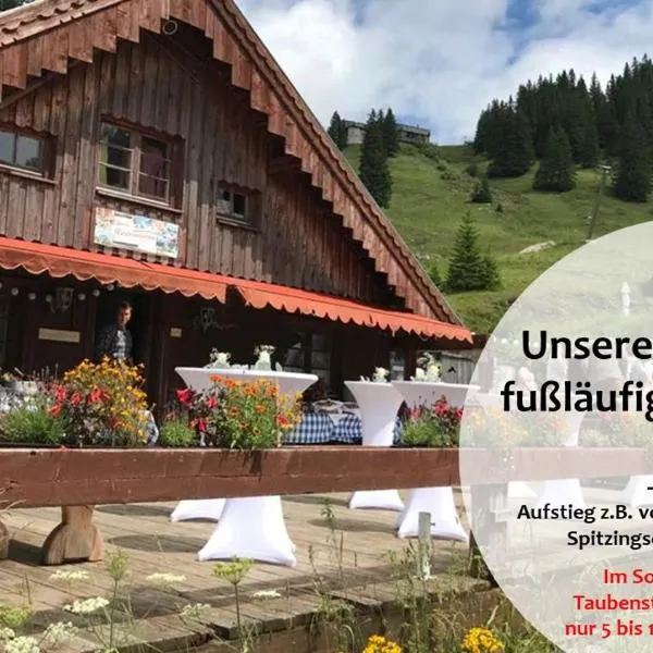 Obere Maxlraineralm, hotel u gradu 'Josefsthal'