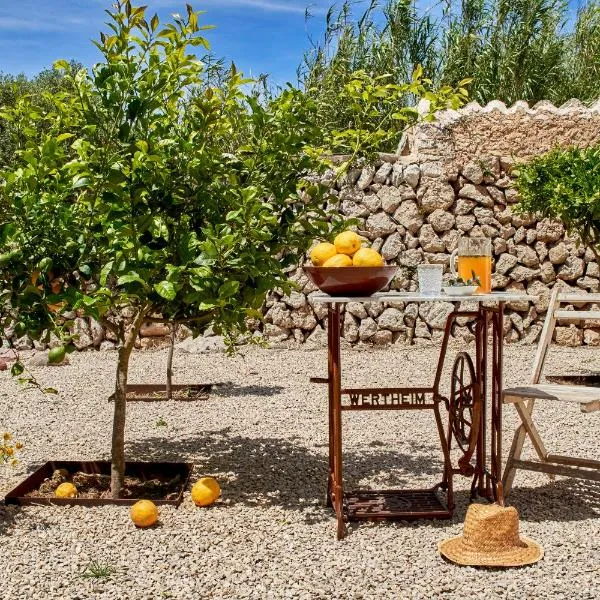 Agroturismo Turmaden des Capita, hotel v destinácii Alaior