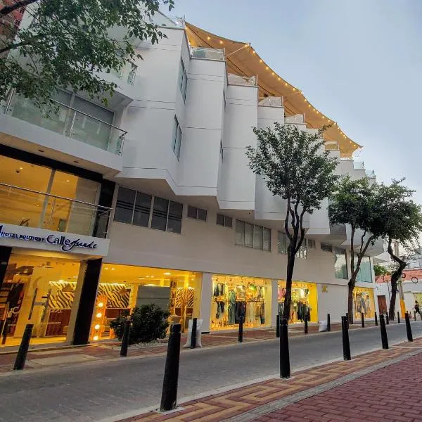 Hotel Boutique Calle Grande, hotel v destinaci Valledupar