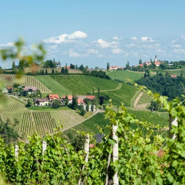 Weingut Schauer, hotel v mestu Sankt Johann im Saggautal