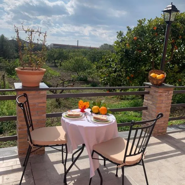 La Pomelia B&b Sofia, viešbutis mieste Trapitelo