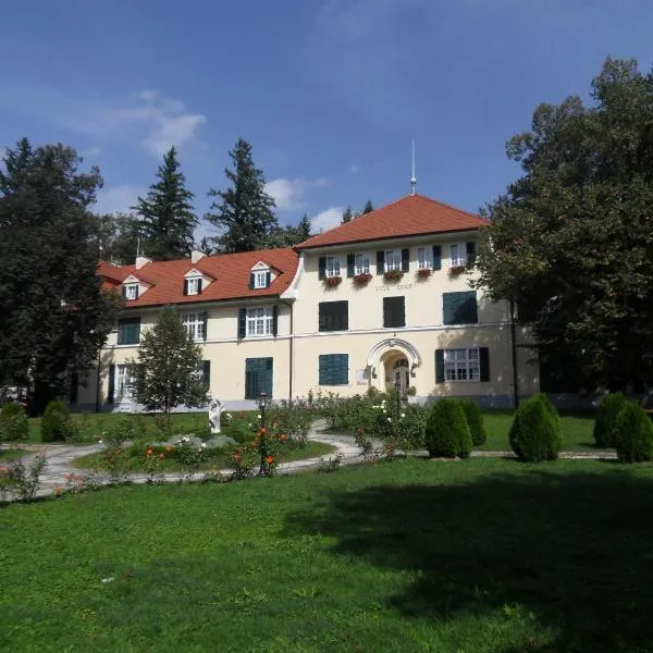 Apartments Vektor Vila Golf, hotel i Rogaška Slatina