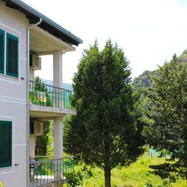 Agroturizem Hotel Vila Franceze โรงแรมในKoman