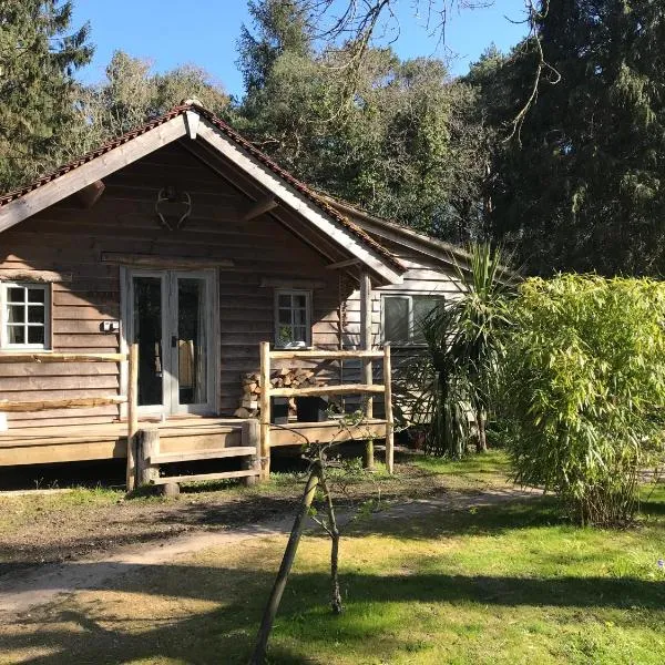 sika lodge, hotel Warehamben