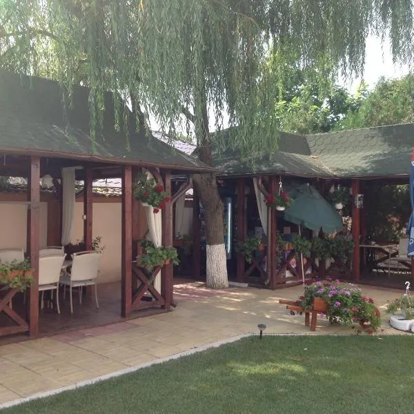 Vila Royal, hotel v destinaci Urziceni