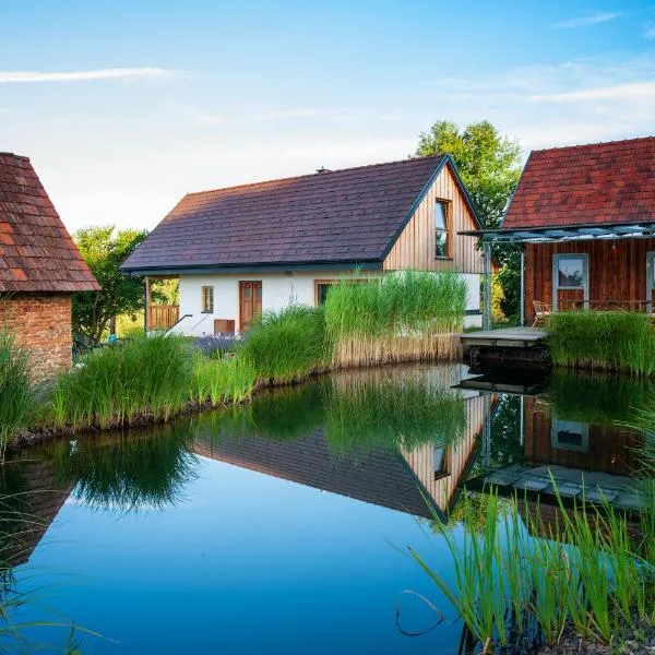 Ferienhaus mit privaten Schwimmteich und Sauna, hotel v destinaci Oed bei Gleisdorf