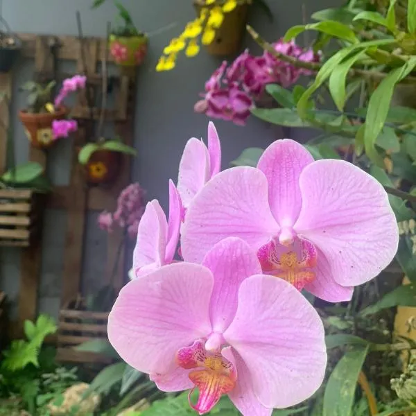 Casa das Flores, hotel in Chapada dos Guimarães