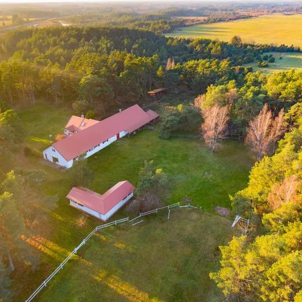 Ratsu Turismitalu, hotell Jõgelas