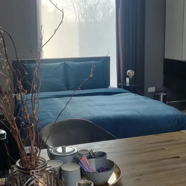 Bed & Wellness Boxtel, luxe kamer met airco en eigen badkamer, hotel di Boxtel