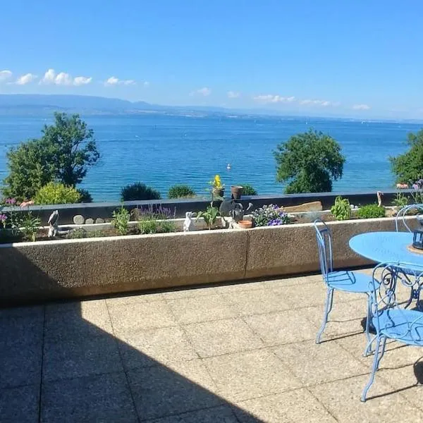 Lakefront. Appartement pieds dans l'eau. View and direct access to the lake., Hotel in Anthy
