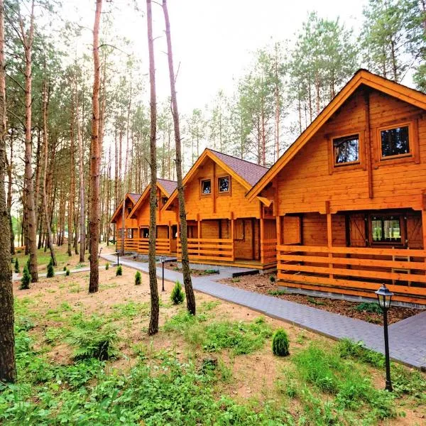 Domki Wiosełko, hotel in Joniec