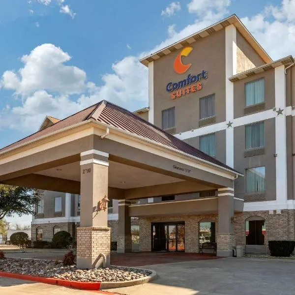 Comfort Suites Waco Near University Area，Hewitt的飯店